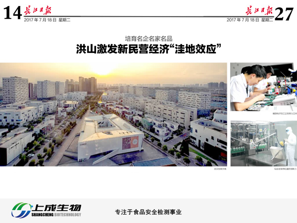 長江日報:洪山激發(fā)新民營經(jīng)濟(jì)“洼地效應(yīng)”